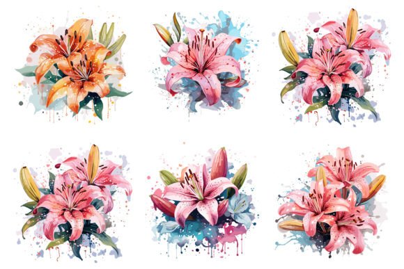 Lily Floral Watercolor Vector Review